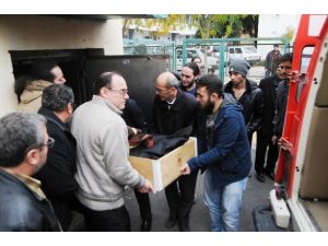 Bilgisayar Başında Kalp Krizi Ölüm Getirdi