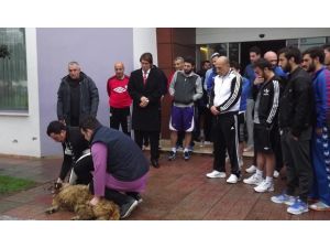 Orduspor Kurban Kesti
