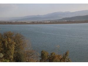 Sapanca Gölü Eski Günlerine Dönüyor