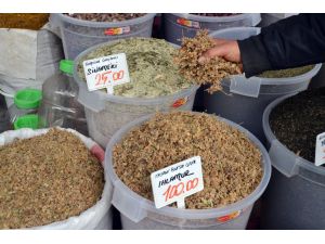 Ihlamur, Altınla Yarışıyor