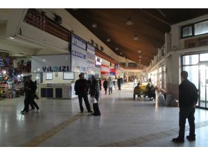 Otobüs Firmaları Ucuz Uçak Biletinden Rahatsız