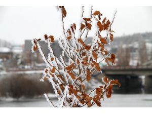 Kura Nehri Buz Tuttu