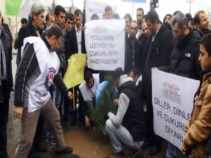 Midyat’ta Köstebek Tarlasına Dönen Yoldaki Çukurlara Fidan Dikildi
