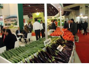Growtech’te Üç Günde 370 Milyon Dolar İhracat Bağlantısı Yapıldı