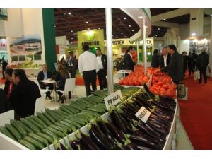 3 Günde 370 Milyon Dolar