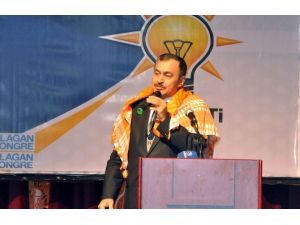 Chp’nin Ağaç Ayıbını Biz Kapatacağız
