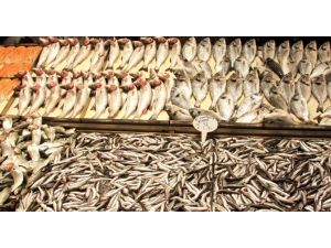 Türk Balığı Avrupa Sofralarında