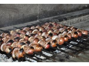 Gribe Soğan Kebaplı Çözüm