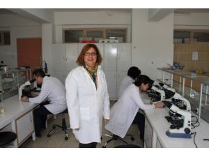 Çiftlikten Sofraya Gıda Güvenliği