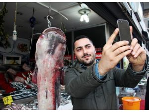 Dev Balıkla Özçekim