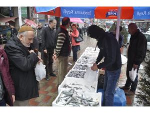 Hamsinin Kilosu 2,5 Liraya Düştü