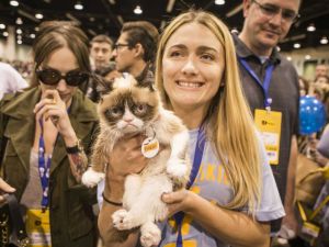 Bu Hırçın Kedi Garson Sahibine 100 Milyon Dolar Kazandırdı