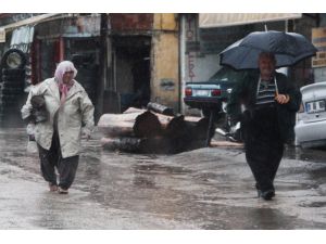 Boruları Paylaştı, Şemsiyesine Kıyamadı