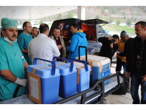 Organları 5 Hastaya Umut Oldu