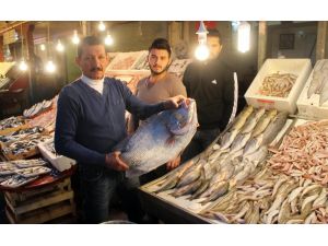 (Özel Haber) Soğuk Ve Yağmurlu Hava Balık Fiyatlarını 2 Kat Artırdı