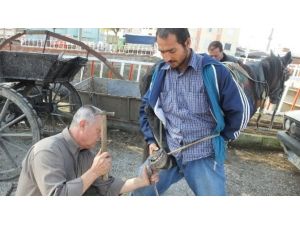 Tarihe Karışmak Üzere