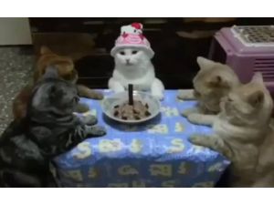 En Tatlı Doğum Günü Çocuğu