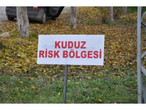 Pertekte Kuduz Karantinası