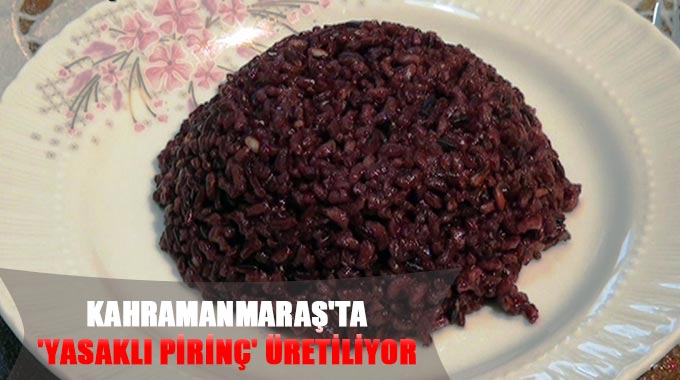 Kahramanmaraşta Yasaklı Pirinç Üretiliyor