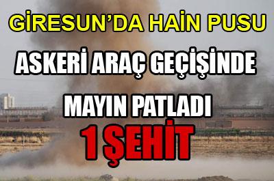 FLAŞ! Giresunda mayın patladı