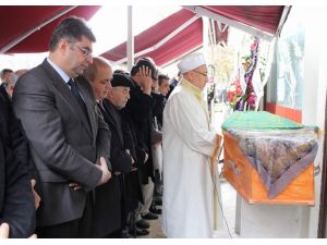 Meb Hayat Boyu Öğrenme Genel Müdürü Biçerli’nin Acı Günü