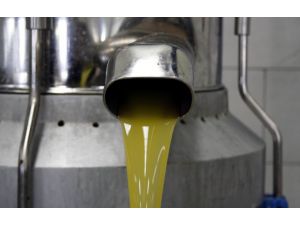 Zeytin Posası İle Karını 2.5 Kat Arttıracaklar