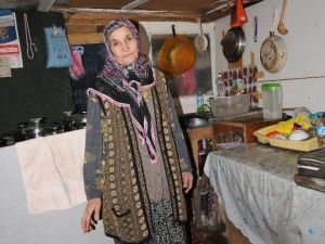 Tek İsteği Sıcak Bir Yuva