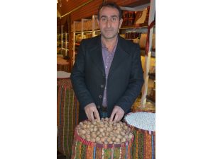 Üretici Rekolteden, Satıcı Fiyatından Yakındı