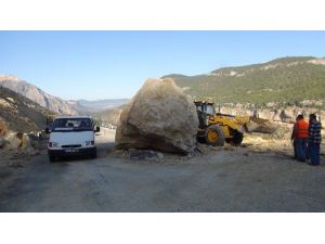 Faciaya Kıl Payı