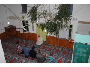 (Özel Haber) Cami İçinde Zeytin Ağacı Gölgesinde Namaz