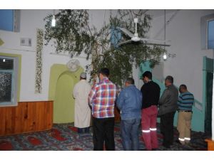 Zeytin Gölgesinde Namaz
