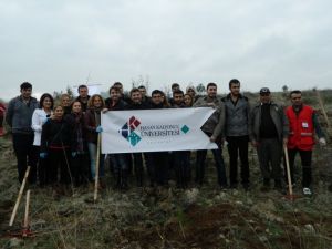 ‘Bir Kan, Bir Su Projesi Kapsamında 61 Bin Fidan Dikildi