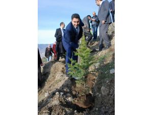 Başkan Eroğlu’dan Ağaç Kestiren Başkan Salman’a Tepki