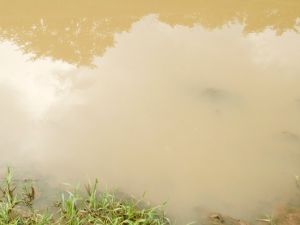 Kirli Su Katliamı: 50 Ölü