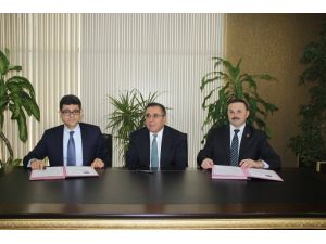 Yırcada Santral İçin 6 Bin Ağaç Kesen Firma 60 Bin Fidan Dikecek