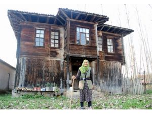 O Asırlık Bir Çınar Ağacı