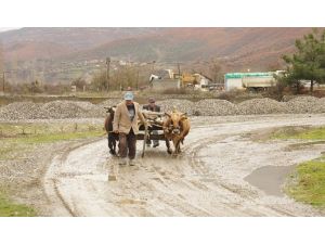 Oğullarını Kaybedince Teknolojiyi Reddetti