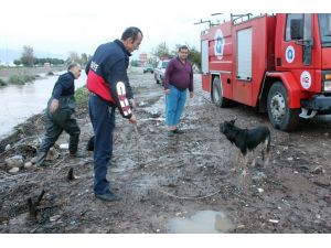 Yağmur Suyu Çayı Yükseltince Mahsur Kaldı