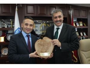 Ağaç Kütüğünde Dikkat Çeken Figür