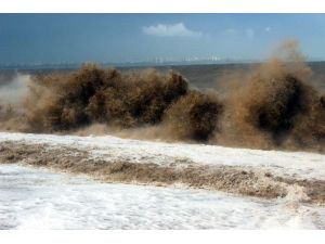 Sanki Tsunami