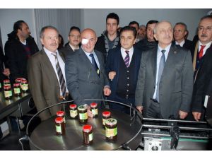 Kdz. Ereğli’ye Arıcılıkla Tedavi Merkezi Kurulacak