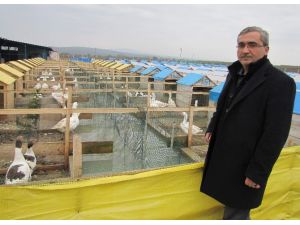 Gördüğü Rüya Bunu Yaptırdı