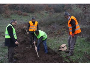 Orman İşletmesinden 2014’de 49 Bin Fidan