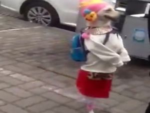 Bu Kadar Tatlısını Görmediniz!