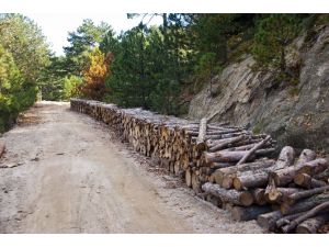 Kaz Dağları’ndan Ekonomiye Büyük Katkı