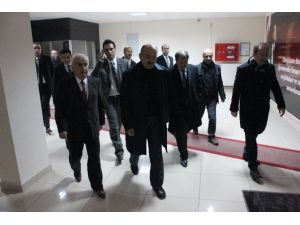 Bakan Sel Bölgesinde