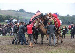 Develer Seyyar Morg İçin Güreşti