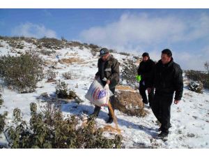 Orman Ve Su İşleri Bakanlığı, Kış Aylarında Yaban Hayvanlarına 515 Ton Yem Ve Yiyecek Bırakacak