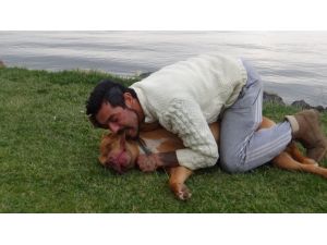 Tehlikeli Olmadığını Göstermek İçin Köpeğini Isırdı