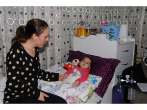 (Özel) Çaresizliğin Pençesinde Son Arzu